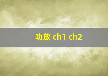 功放 ch1 ch2